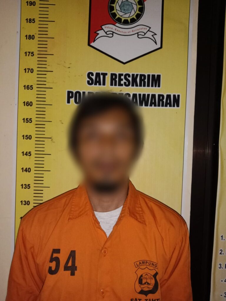 Satreskrim Polres Pesawaran Tangkap Pelaku Perkosaan Anak Kandung di Bawah Umur