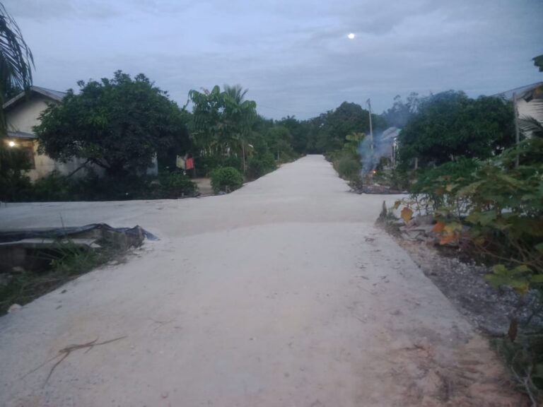 Tanpa Plang Kegiatan, Diduga Kades Teluk Berembun Tutupi Anggaran