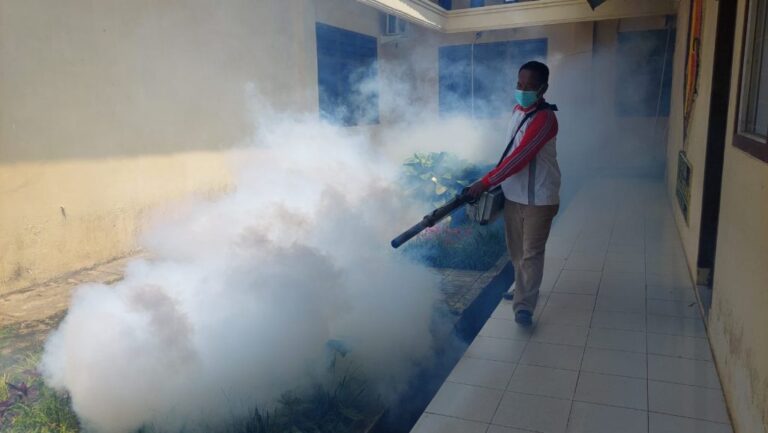 Catat 27 Kasus DBD Hingga Februari 2024, Dinkes Tangggamus Fogging Are Publik