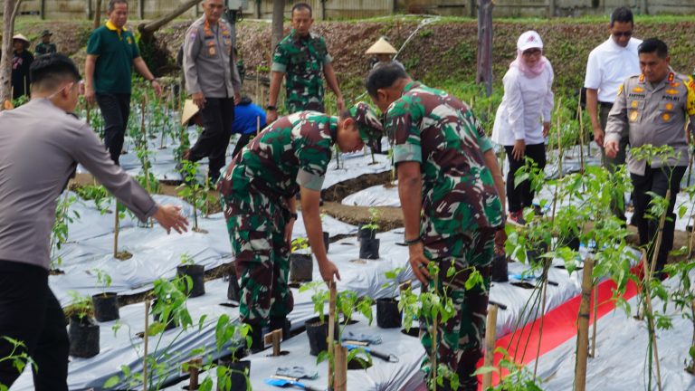 Koramil 03 Tanjung Priok Menginspirasi dengan Urban Farming “From Zero to Hero”