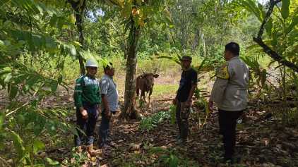 Berkah Qurban di Torete, Ketika Perusahaan Berbagi Makna Iduladha