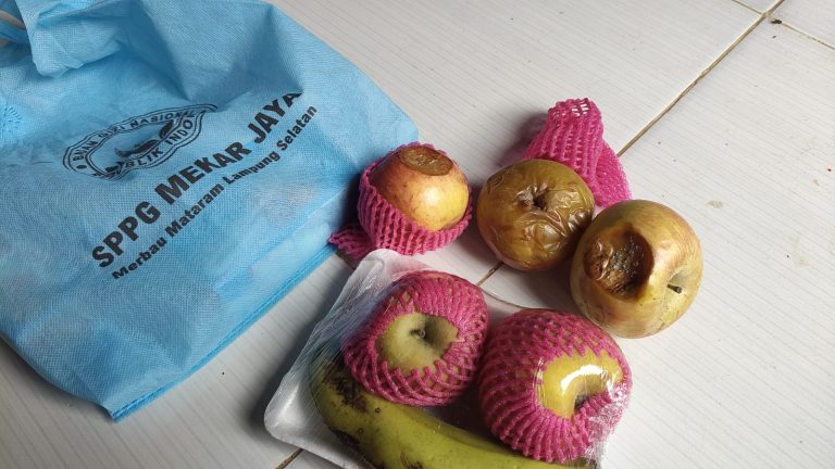 Berikan Buah-buahan Busuk kepada KPM, Dapur SPPG Merbau Mataram Desa Mekar Jaya Patut Ditutup