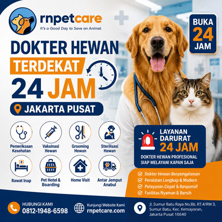 Dokter hewan terdekat 24 jam RN Pet Care Jakarta Pusat melayani vaksinasi, grooming, sterilisasi, rawat inap, home visit, dan layanan darurat hewan.